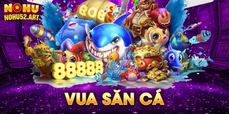 Giới thiệu vài nét cơ bản về vua săn cá